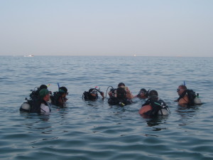 DSCF2671 Scuba Oman|Muscat Diving|Scuba Diving oman Private Under Water Guide DSCF2671 300x225