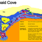 Tauchen in Oman | Tauchurlaub in Oman | Tauchen Urlaub | Sea Diving in Oman | Dive Sites Marmaid Cove Doris 150x150