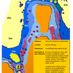 Tauchen in Oman | Tauchurlaub in Oman | Tauchen Urlaub | Sea Diving in Oman | Dive Sites Novice Bay Doris 150x150