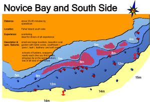 Novice Bay and South Side Doris Novice Bay and South Side Doris 300x204