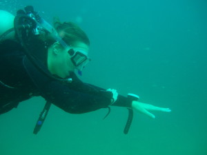 OLYMPUS DIGITAL CAMERA scuba diving in oman Dive Courses PB131378 300x225