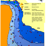Tauchen in Oman | Tauchurlaub in Oman | Tauchen Urlaub | Sea Diving in Oman | Dive Sites Plug Point Doris 150x150