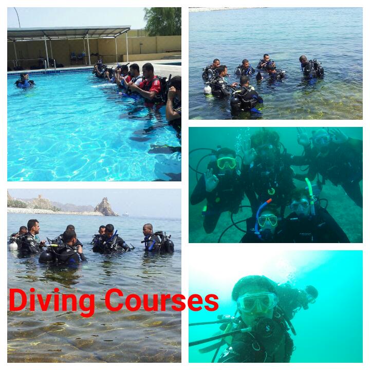 Diving Courses in Oman Oxygen Diving & Adventures In Dimaniyat Islands