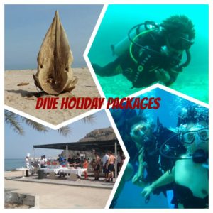 Dive Holiday Packages scuba diving in oman|oman diving courses|dive oman Diving in Oman diving package in oman 300x300