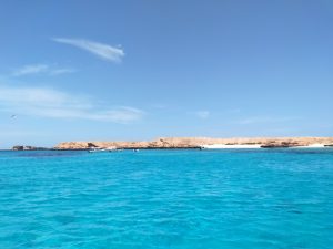 Dimaniyat islands diving, scuba diving Oman price, diving in Oman, diving in Oman, scuba diving Tauchen in Oman | Tauchurlaub in Oman | Tauchen Urlaub | Sea Diving in Oman | Dive Sites IMG20230417111145 300x225