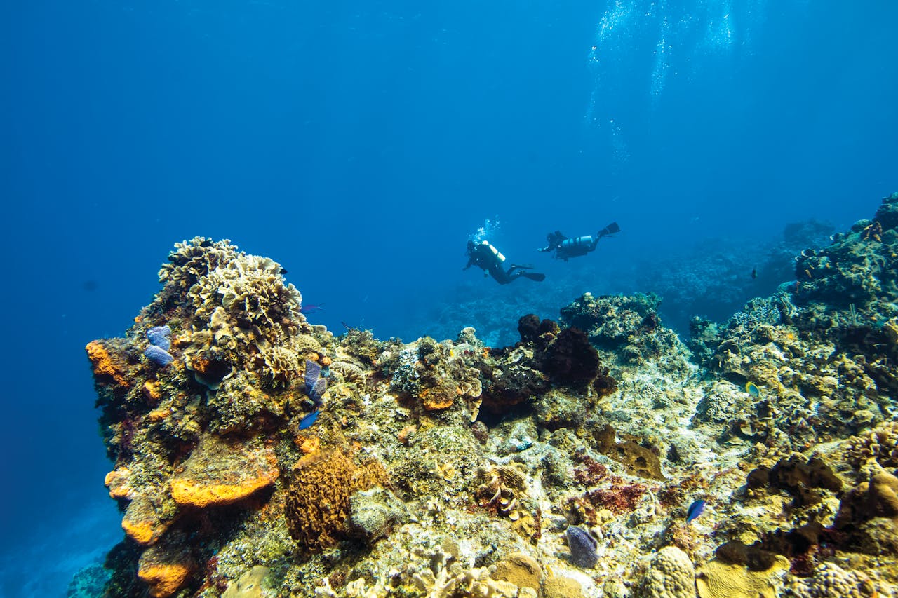 Two scuba divers explore vibrant coral reefs in clear ocean waters.